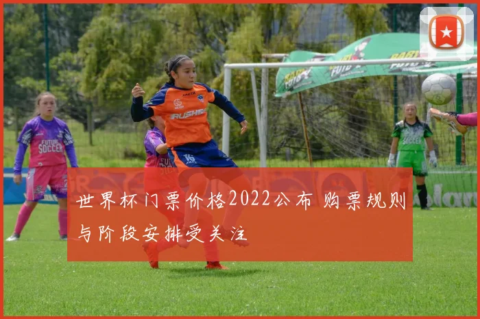 世界杯门票价格2022公布 购票规则与阶段安排受关注